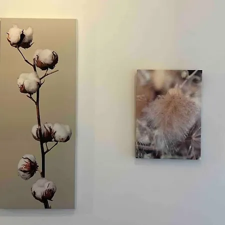 Le Voltaire Lägenhet